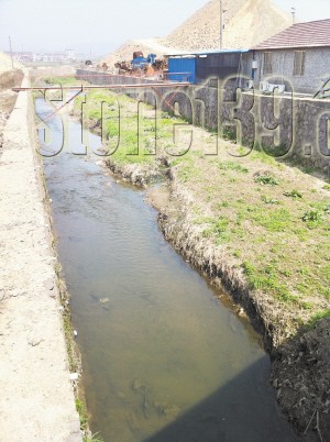 【浙江】东阳卢三石材市场外违建已拆除，场内在整顿