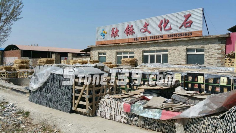 新建文件夹mmexport1428382768218