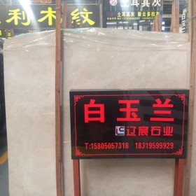 白玉兰