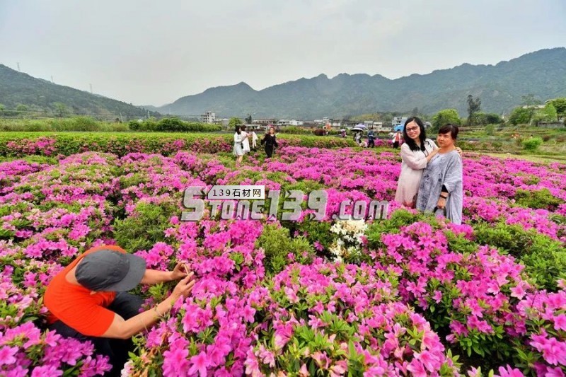 罗源县如何将石材矿山变青山？