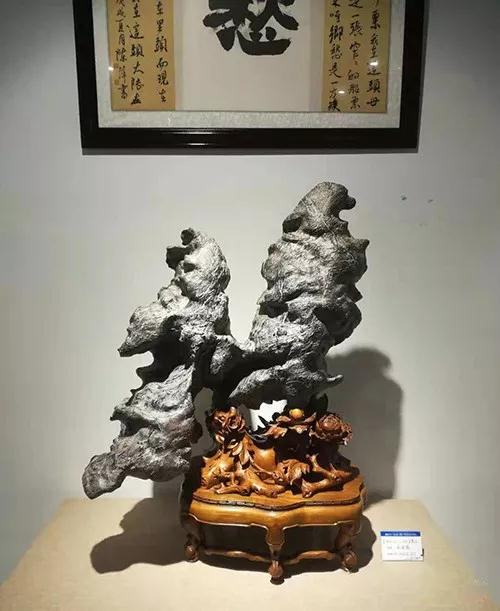 安徽首届奇石文化交流博览会开幕，热乎乎的金奖都在这里了！