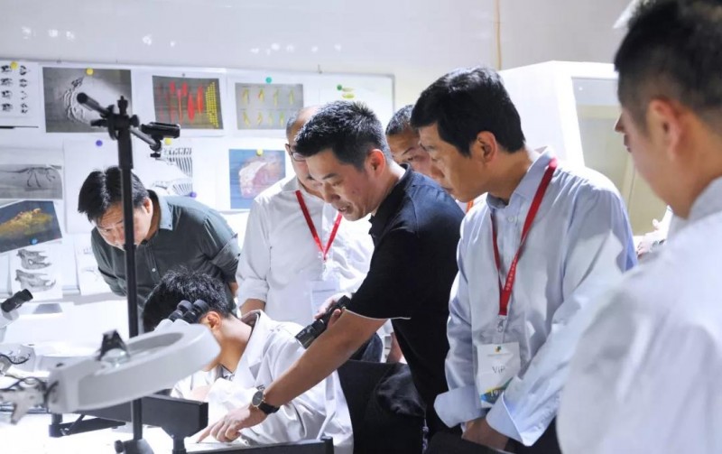 麻城市委副书记、市长蔡绪安莅临第十九届中国（南安）水头国际石材博览会