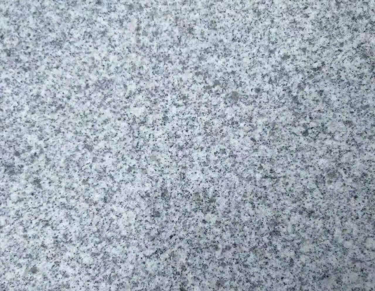 河南芝麻白