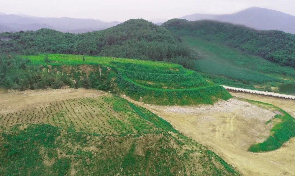 与时代同频共振，(吉林白产地)蛟河石材全力奏响绿色发展主旋律