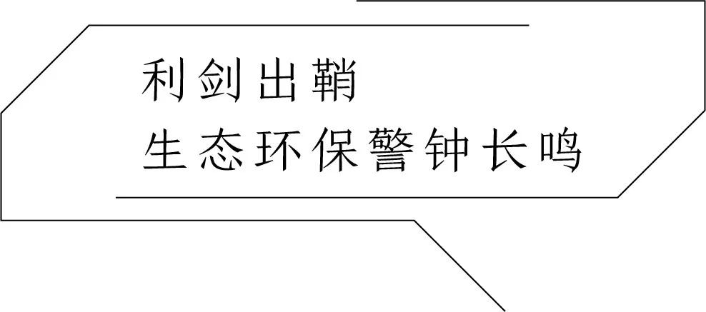 与时代同频共振，(吉林白产地)蛟河石材全力奏响绿色发展主旋律