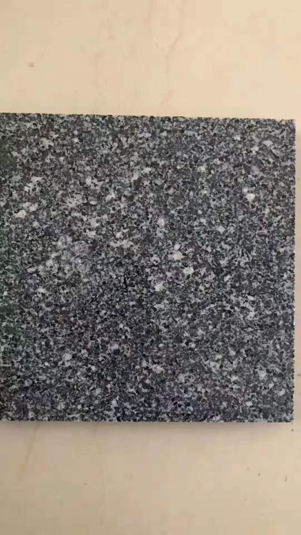 杭州芝麻黑厂家金龙石材推出江浙地区完美替代福建654的花岗岩产品