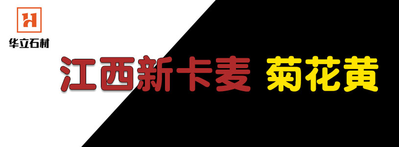 江西菊花黄