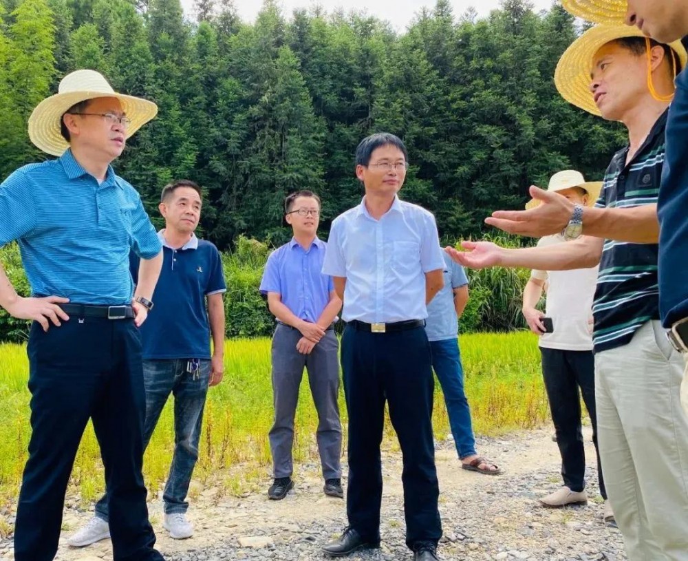 江西省安福县委书记等领导一行莅临方通石业视察指导！附江西吉安新品青石欣赏！ 