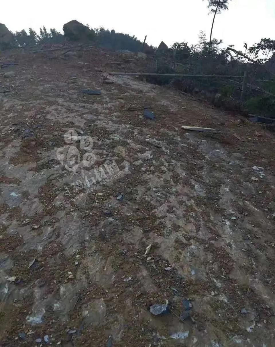 江西省安福县委书记等领导一行莅临方通石业视察指导！附江西吉安新品青石欣赏！ 