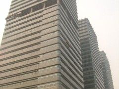 豹皮花石材外墙案例之天津泰达大厦
