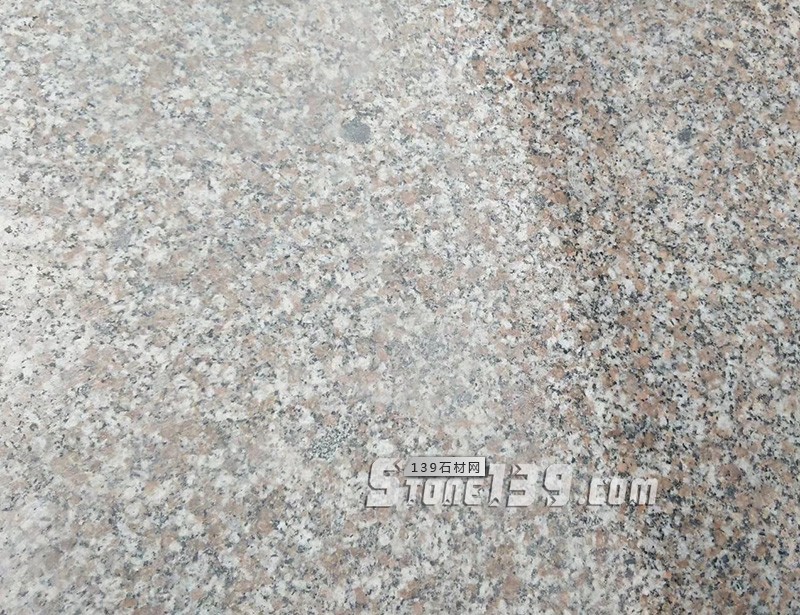 遂昌红 遂昌红