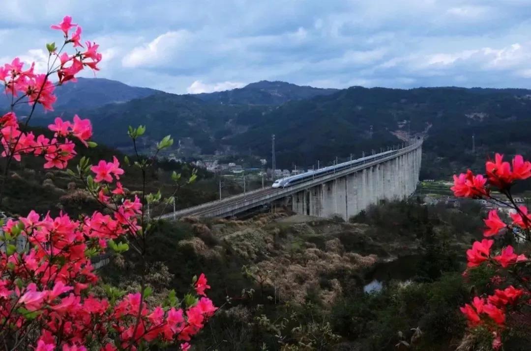 湖北进川物流公司助力麻城夺“全国百强”