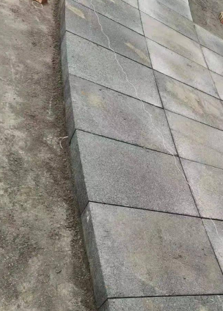 广西芝麻黑青花654